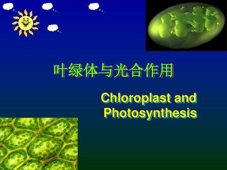 Chloroplast and Photosynthesis